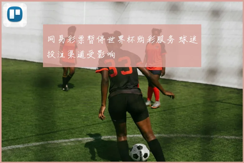 网易彩票暂停世界杯购彩服务 球迷投注渠道受影响